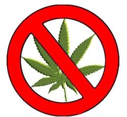 Nie dla legalizacji marihuany !